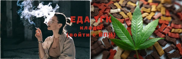 амф Гусиноозёрск