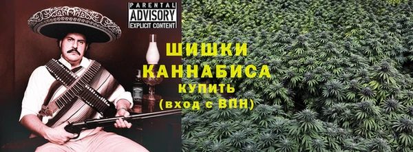 ECSTASY Гусев