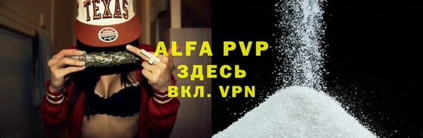 амф Гусиноозёрск