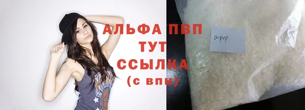 амф Гусиноозёрск