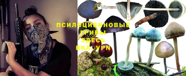 амф Гусиноозёрск
