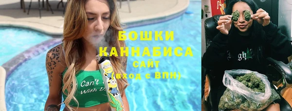 амф Гусиноозёрск